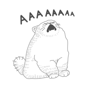 котик ААА для бренда Barking Store