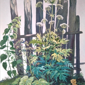 Рассказы про всякие сорняки, хрен и прочие одуванчики