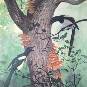 Ягодки , грибочки, птички и цветочки