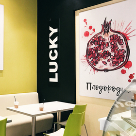 Иллюстрации для аэропорта Кневичи г.Владивостк