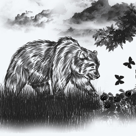 Социальный медведь к книге