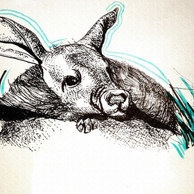 Животные Московского зоопарка