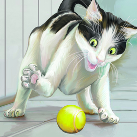 Жизнеописание кота Федьки