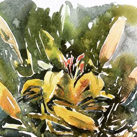 Цветочные скетчи 