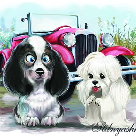 Иллюстрации к принтам