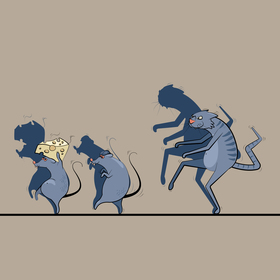 Мыши утащили сыр, но не тут-то было