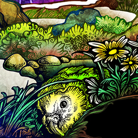 Новая Зеландия