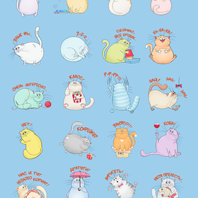 "Лысые" котики :))