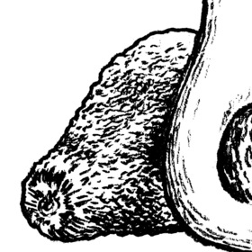 Раскраски какие-то