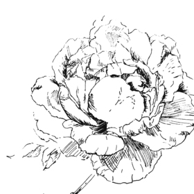 ГРАФИКА. SKETCHES