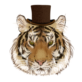 Семейство кошачих