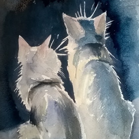 немножко о кошках