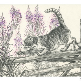 Тоська и Васька