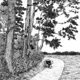 Дышать лесом