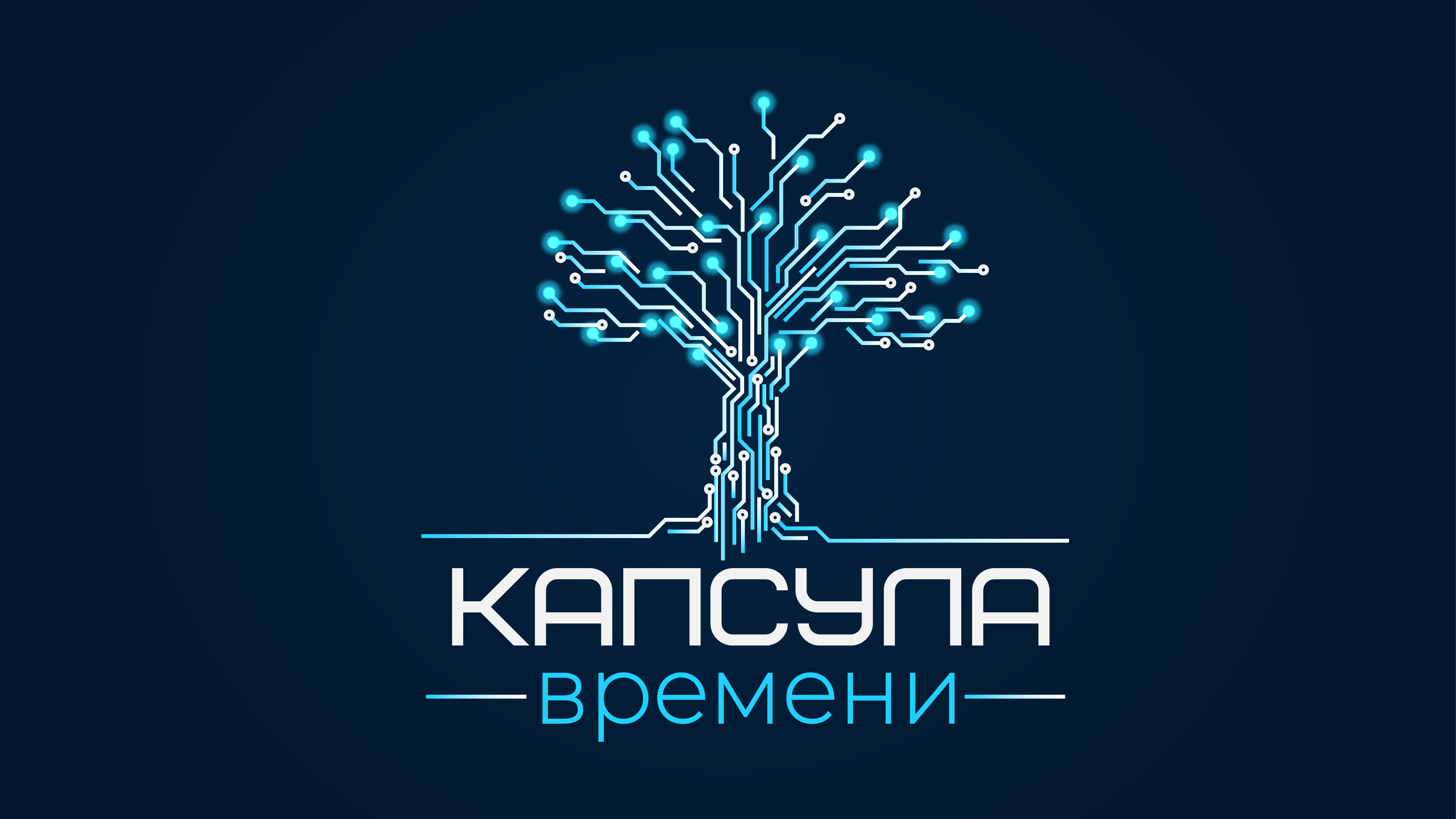 Проект капсула времени