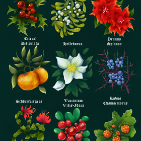 Ботаническая серия "Зимние растения"