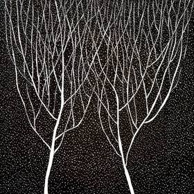 Снежная ночь