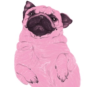 Принт "Лайчи мопс"