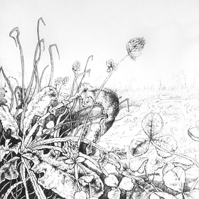 инктобер 2019 (freeze, snow, ash)