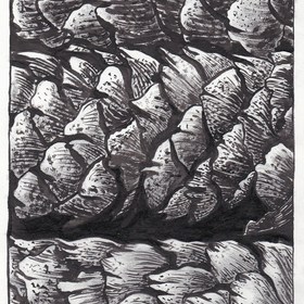 Природные мотивы