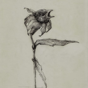 в этом году птицы завянут