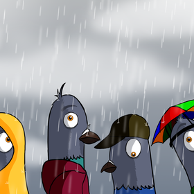 Голуби в сезоне