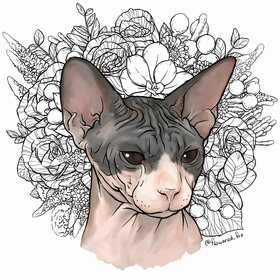 Альбом с животными