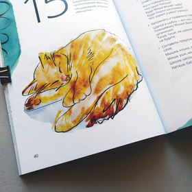 Иллюстрации для пособия по логопедии