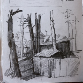 Антология с улиц и лесов