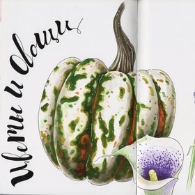 ботаническая иллюстрация