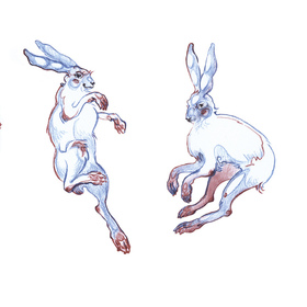 Редьярд Киплинг. Приключения старого кенгуру.