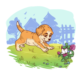 Щенок-Лабрадор