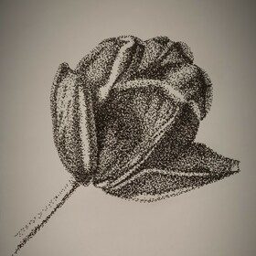 Рисунок, графика