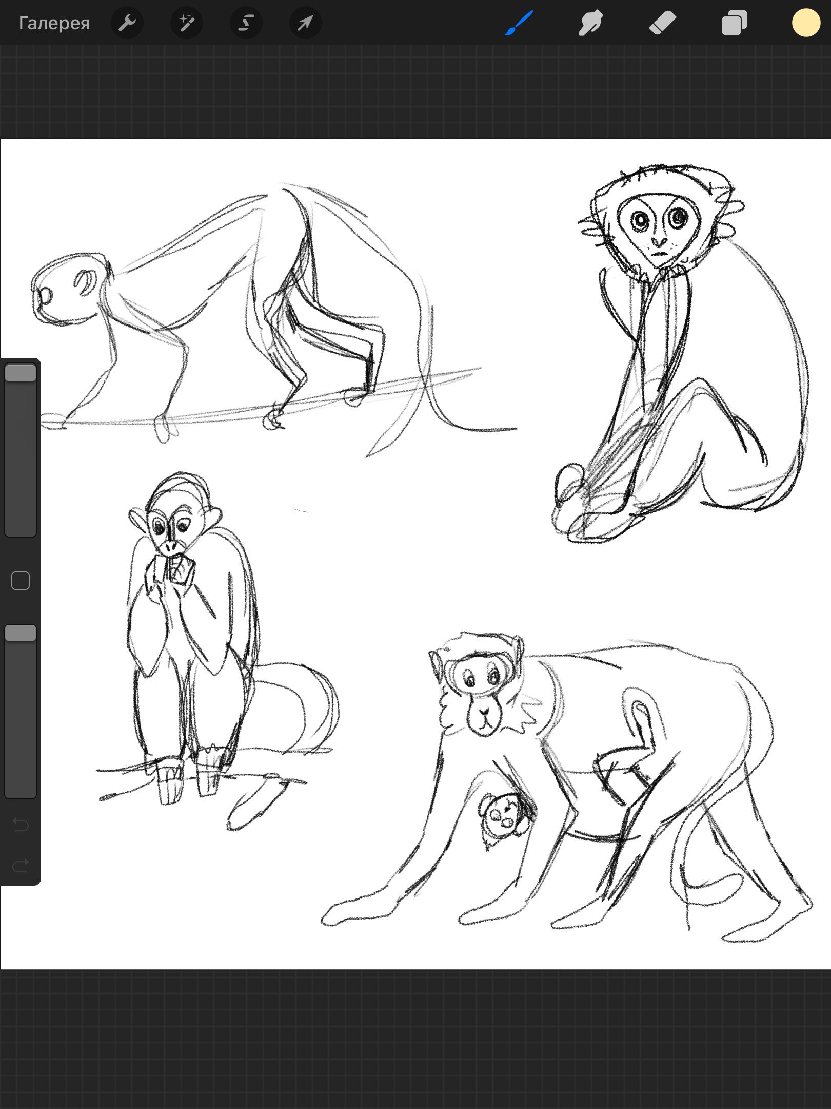 Семья обезьян на дереве раскраски для детей мультфильм векторные иллюстрации