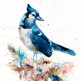 акварель+тушь