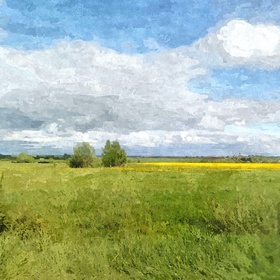 Русское поле