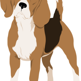 Породы собак