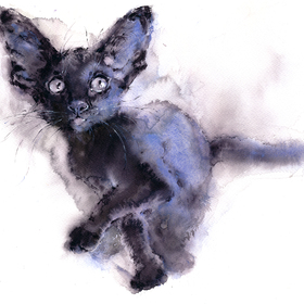 Ушастый котенок