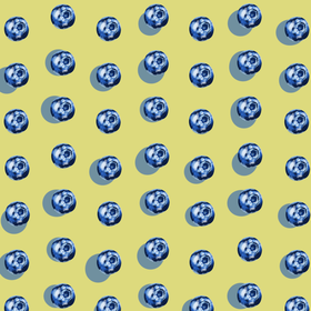 Иллюстрации "Черника"