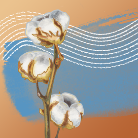 Иллюстрации "Хлопок"