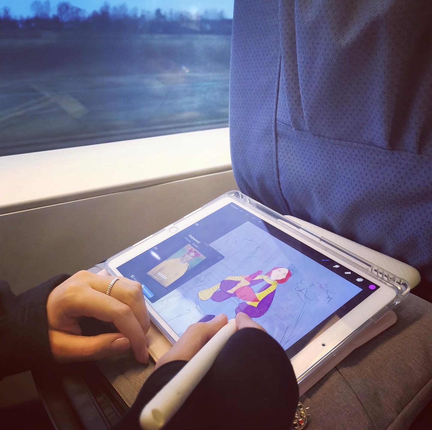 Девушка с гусём / Girl with goose