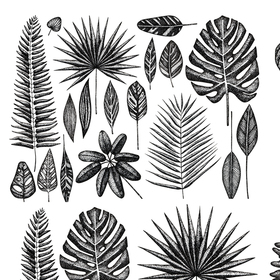 Набор с тропическими листьями