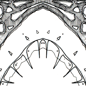 Серия авторских орнаментов
