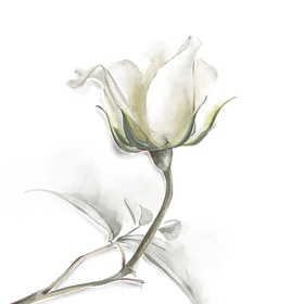 Ботанический