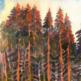 Акварели. Лето 2020