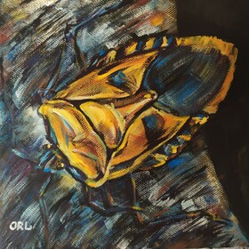 Экзотические Жуки