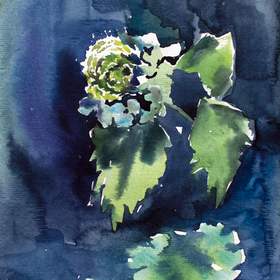 акварели 2020