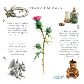 Страница иллюстрированной энциклопедии