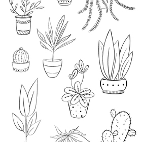 Домашние цветы