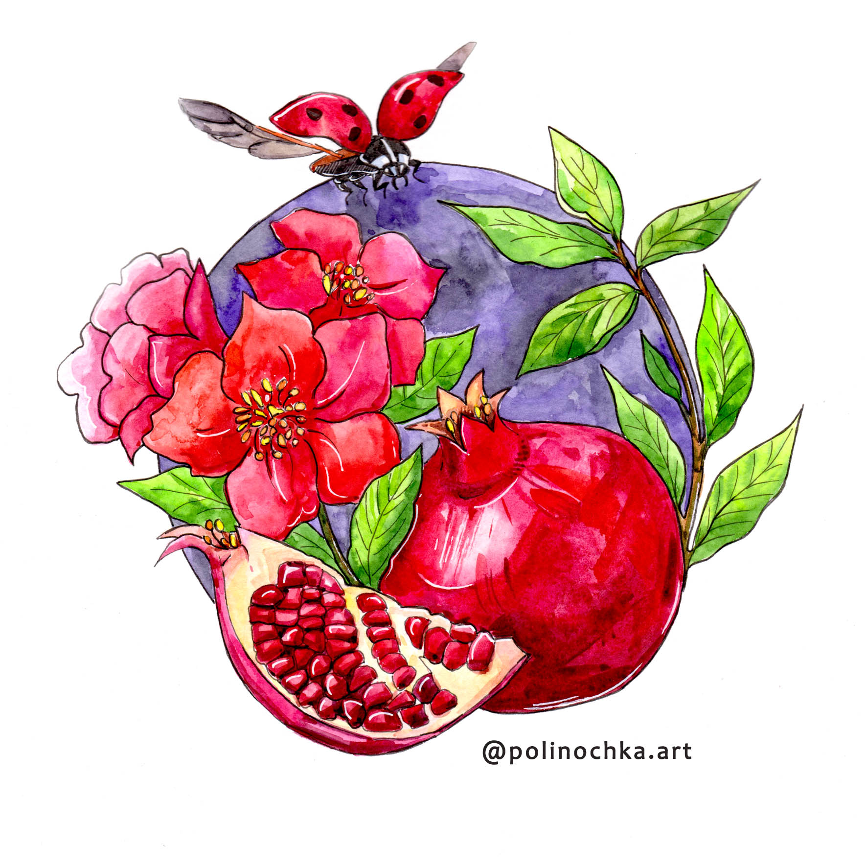 Фрукты и цветы